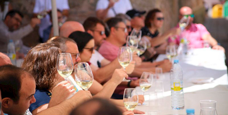 Torrubia del Campo une enología, patrimonio y cultura en una gran cata